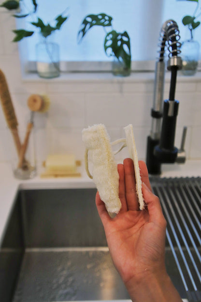 Eco Dish Sponge: 3-Pack