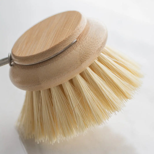 Brush Head Replacement