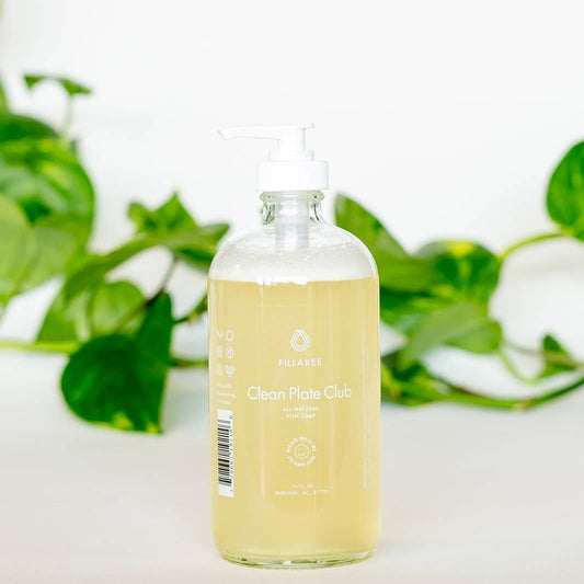 Fillaree Dish Soap - Glass Pump Bottle