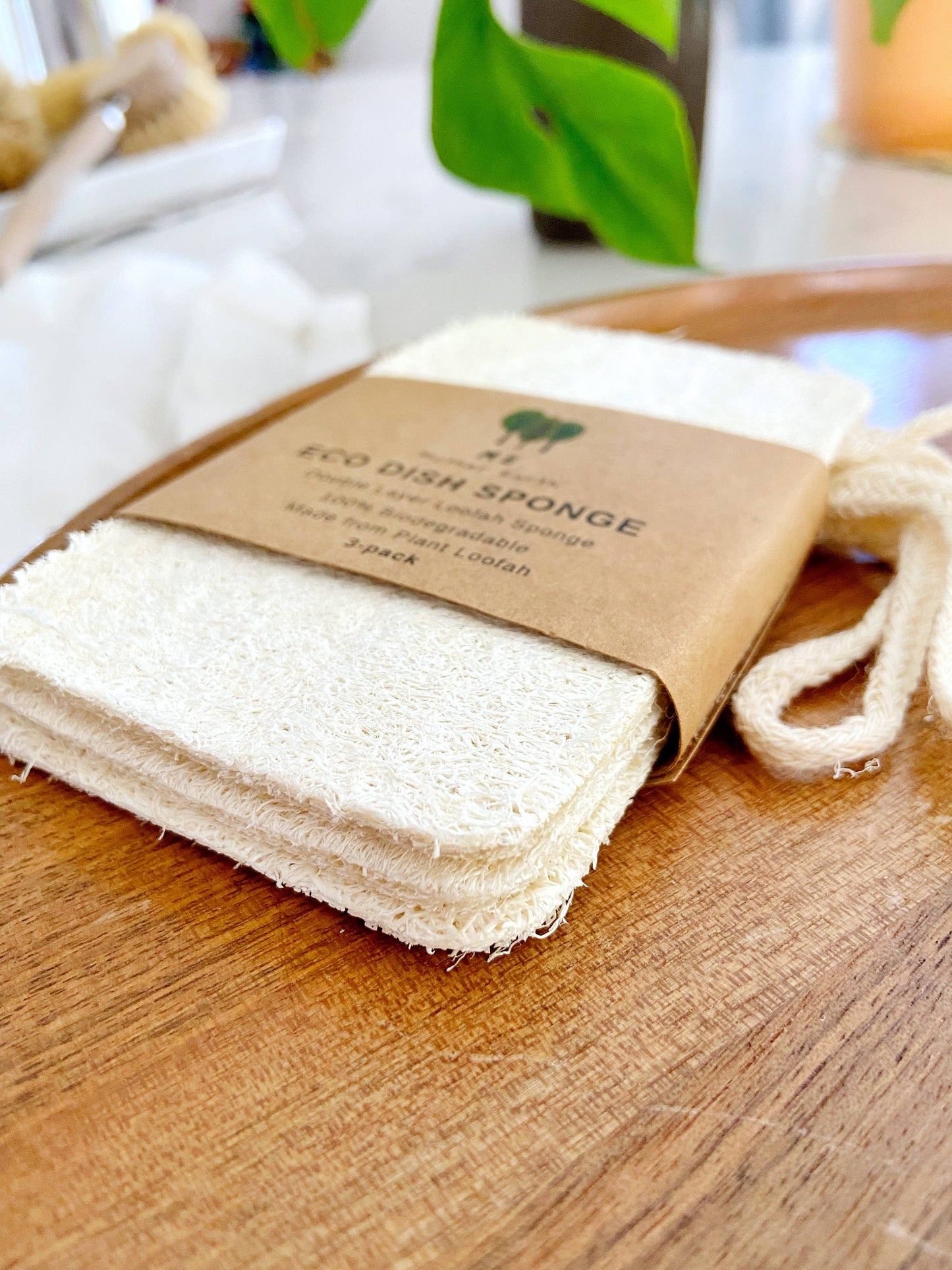 Eco Dish Sponge: 3-Pack