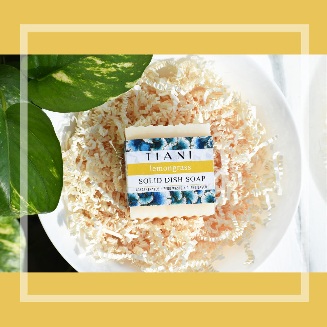 Tiani Solid Dish Soap Block