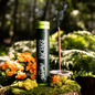 Mosquito Repellent Incense Sticks