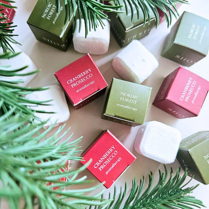 Holiday Milk + Body Mini Shower Steamer